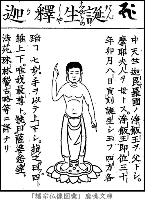 仏像,画像,釈迦如来（誕生仏）