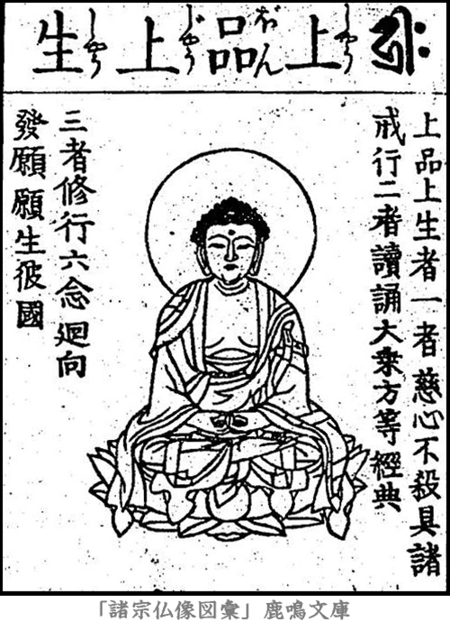 仏像,画像,阿弥陀如来,九品仏,上品上生