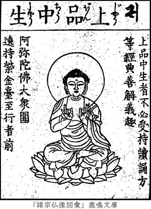 仏像,画像,阿弥陀如来,九品仏,上品中生