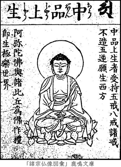 仏像,画像,阿弥陀如来,九品仏,中品上生