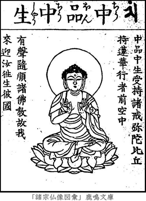 仏像,画像,阿弥陀如来,九品仏,中品中生
