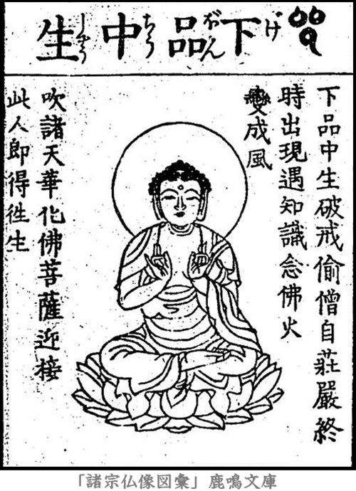 仏像,画像,阿弥陀如来,九品仏,下品中生