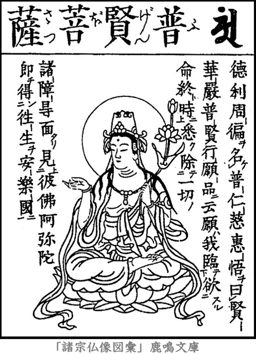 仏像,画像,普賢菩薩