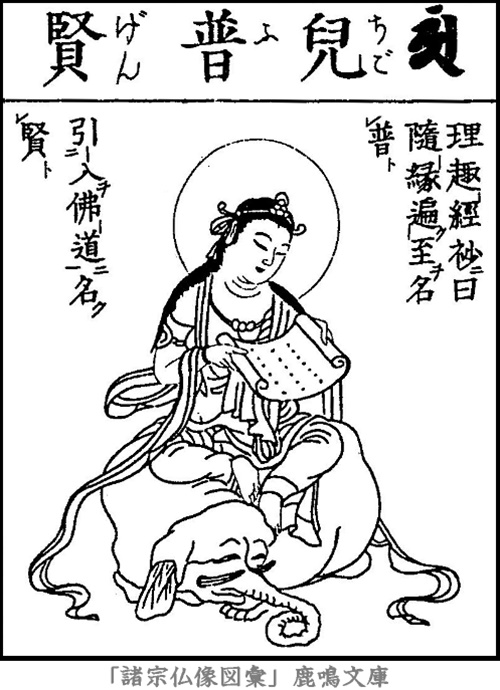 仏像,画像,普賢菩薩（児普賢）