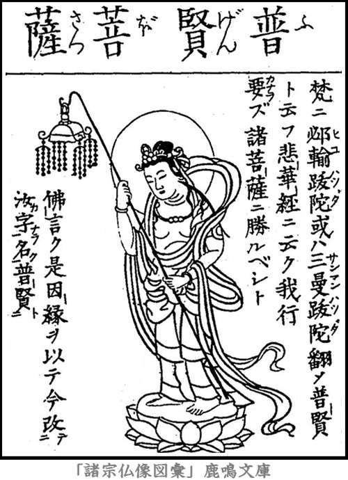 仏像,画像,普賢菩薩,二十五菩薩