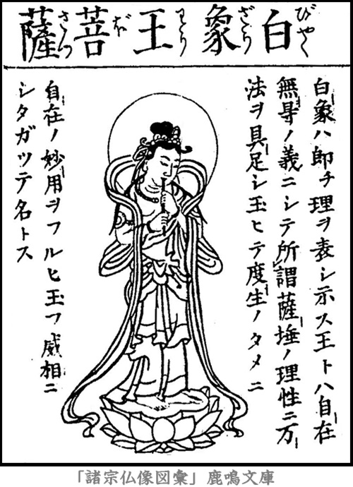 仏像,画像,白象王菩薩,二十五菩薩