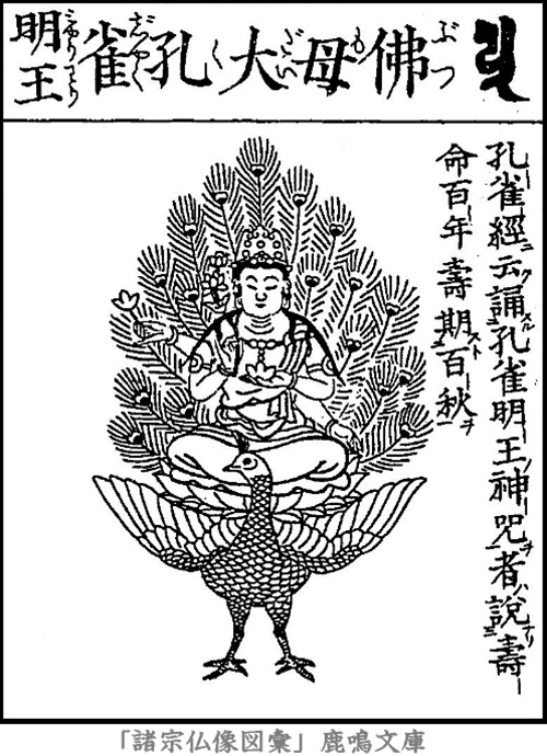 仏像,画像,孔雀明王