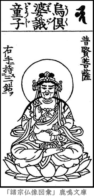 仏像,画像,烏倶婆伽童子