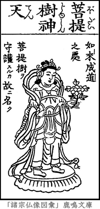 仏像,画像,菩提樹神天