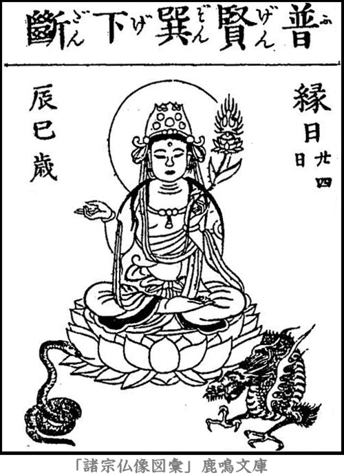 仏像,画像,普賢菩薩,一代守本尊