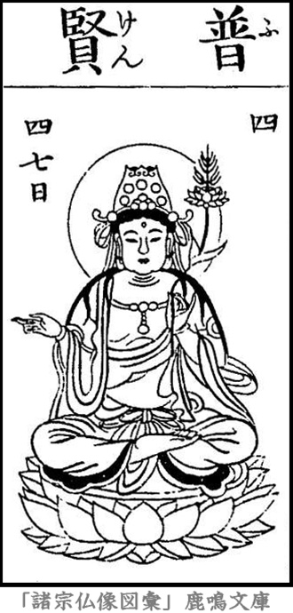 仏像,画像,普賢菩薩