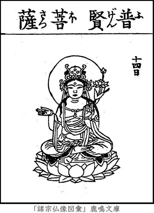 仏像,画像,普賢菩薩