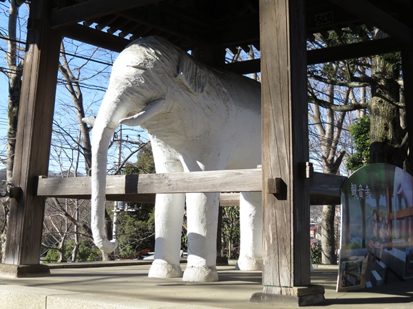 武蔵野七福神,寿老人,観音寺