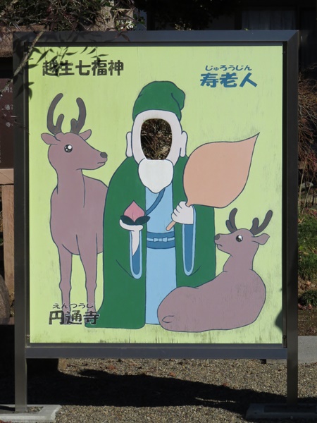 越生七福神,寿老人,円通寺